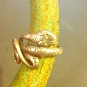 Snake ring