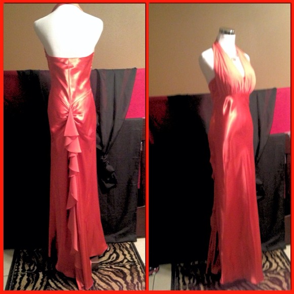 Coral Elegant Dress - Picture 4 of 4