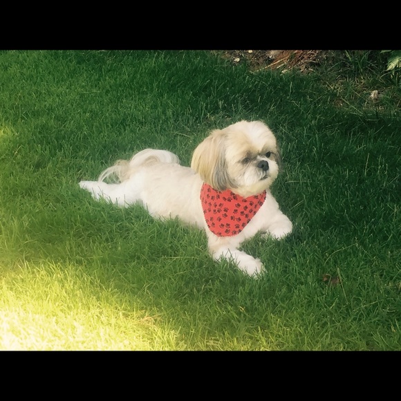 Hi, my name is Kat and I am from Long Island, NY - Picture 4 of 4