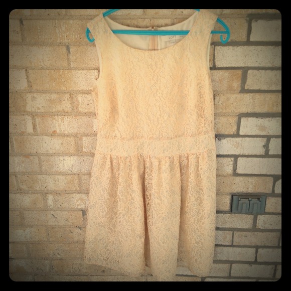 Reduced! Ann Taylor LOFT lace dress. Size 12P