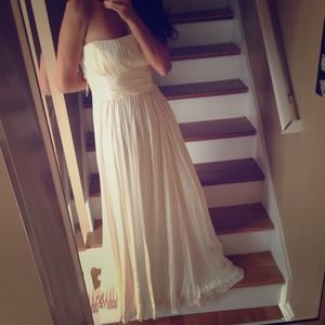 Bcbg formal silk gown