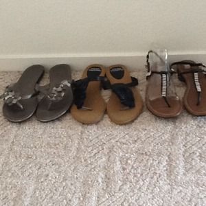 Here Comes Spring and Summer💥HOLD Coconuts3779💥