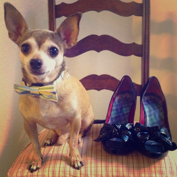 Salvador Sapena Shoes - Salvador Sapena Suede & Patent Heels