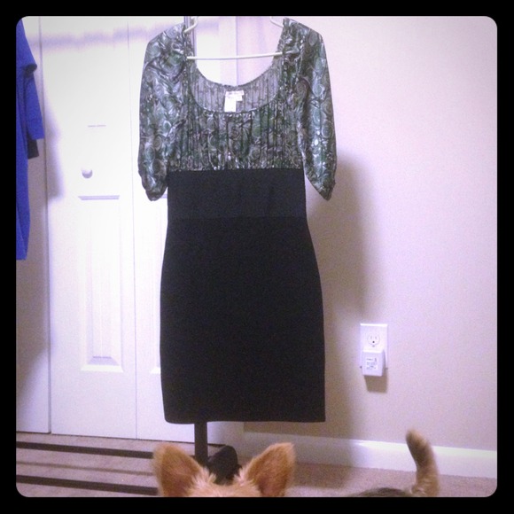 BRAND NEW Sophie Max dress