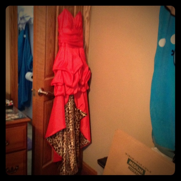 Red and leopard dress