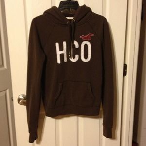 ✨TRADED✨HCO Hollister hoodie