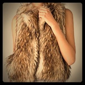 Brown Faux Fur Vest Brand New