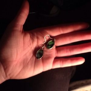 Real Amazon butterfly wing earrings