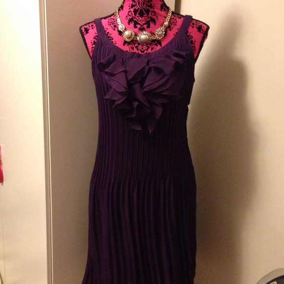 Aubergine Electric Pleeted Dress
