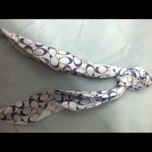 Coach handbag accessory