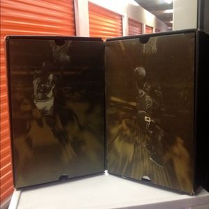 Nike Air Jordan VI and XI LE