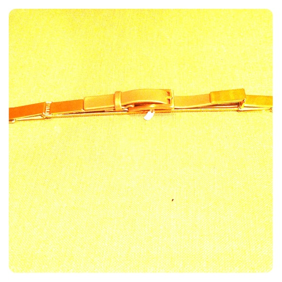 Wonderful gold, Suzi Roher belt. main image 2