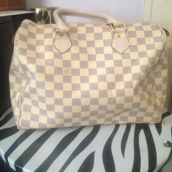 Louis Vuitton Speedy inspired Purse