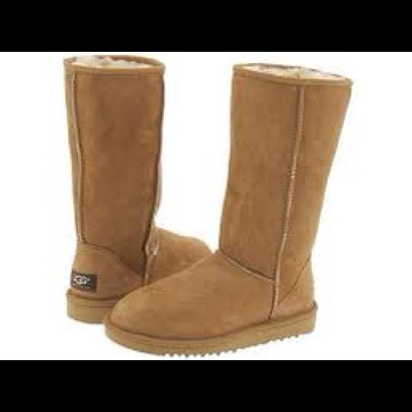 Chestnut uggs