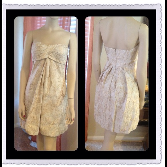 Stunning Cache with gold paint tube dress