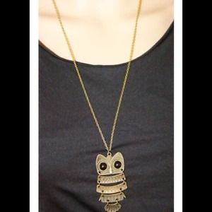 👍❤HOST PICK❤👍New long owl necklace 💚💚💚