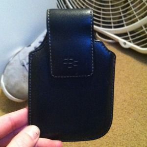 Blackberry leather case