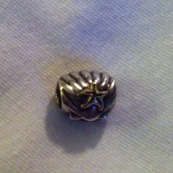 Pandora or Chamilia two-tone charm bead