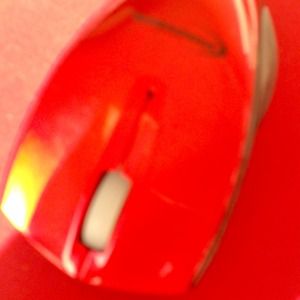 Mouse