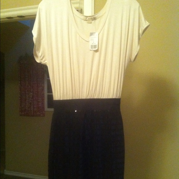 NWT cream and black sparkly pencil dress