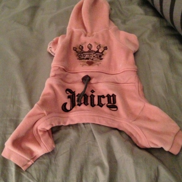 Juicy couture doggie sweatsuit