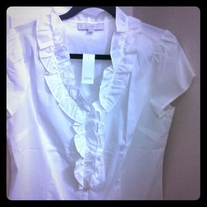 Ann Taylor Loft Blouse