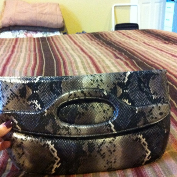 Python clutch - Picture 2 of 3