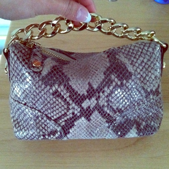 Michael Kors Snake Print Mini Clutch
