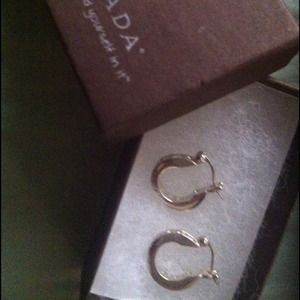 Steering silver earrings