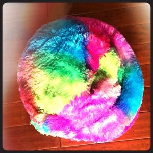Rainbow bean bag