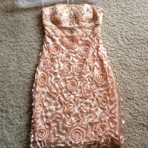 Sue Wong Cocktail dress, never worn