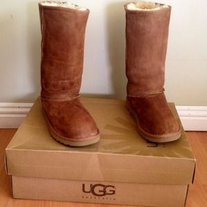 Tall Chestnut Uggs
