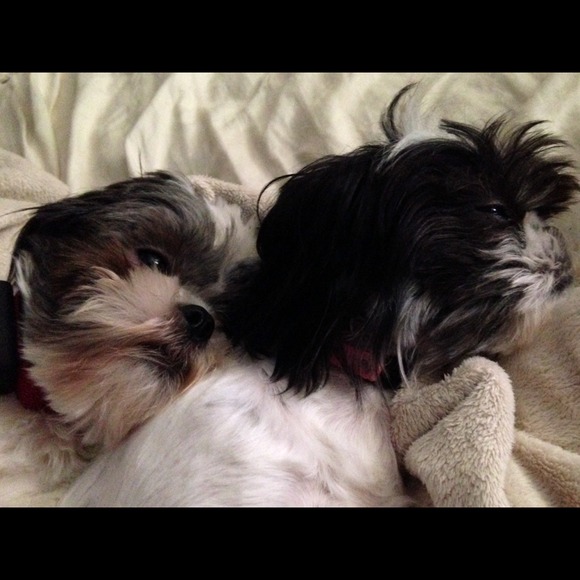 ***SOLD***Meet Your Buyer/Seller! - Picture 4 of 4