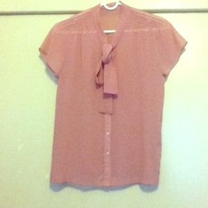 Blush Pink Sheer Top