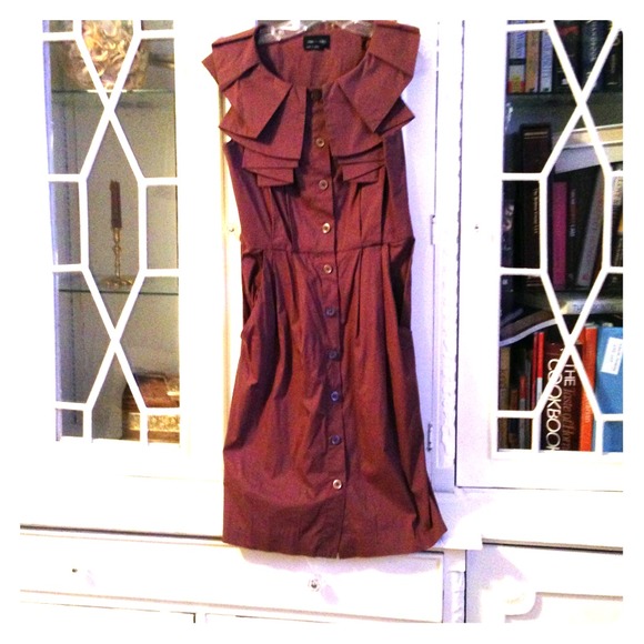 Brown maxandcleo dress