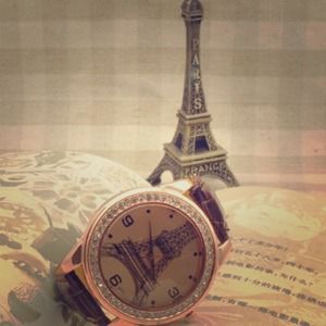 **Women's Paris France Brown Tone Watch**