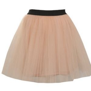NWT Tulle Skirt