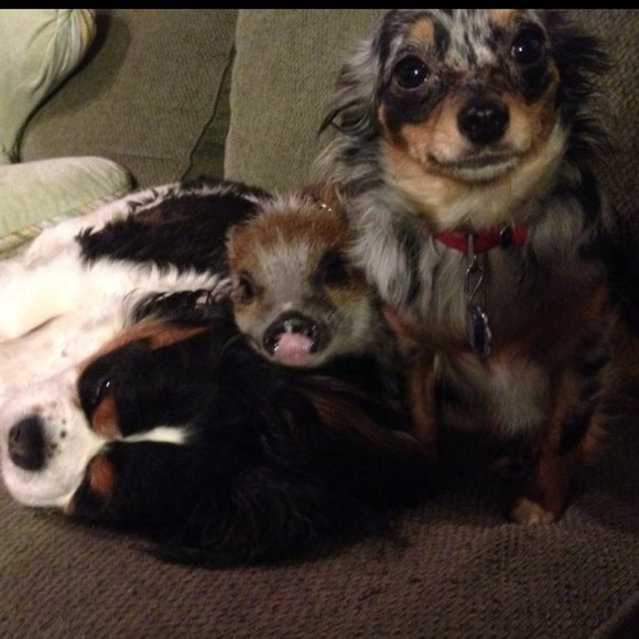 💖Meet the seller💖 - Picture 3 of 8