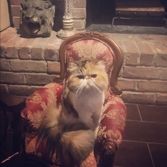 💖Meet the seller💖 - Picture 4 of 8