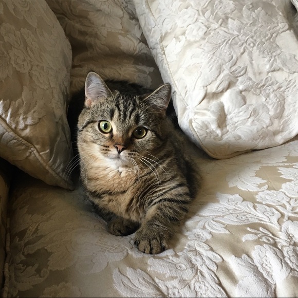 💖Meet the seller💖 - Picture 5 of 8