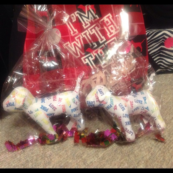 Victorias secret grand opening dog bundle
