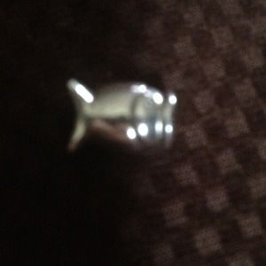 Pandora Charm