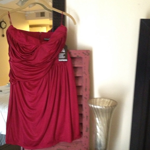 EXPRESS dark red tube dress