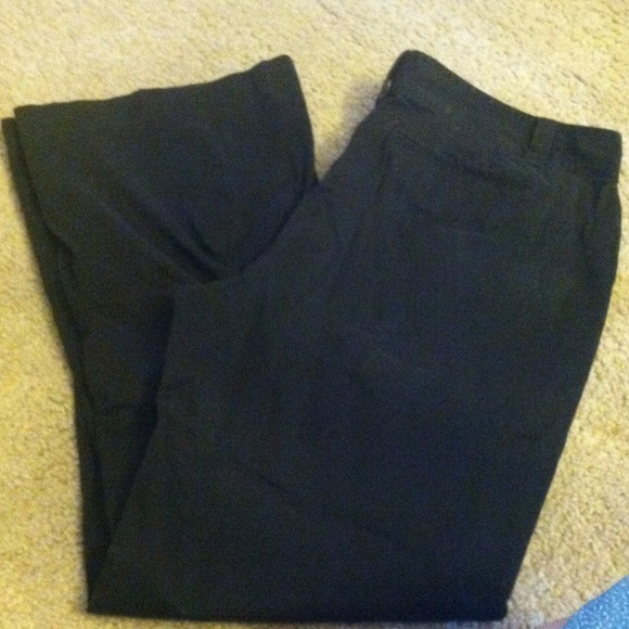 Chocolate Brown Ann Taylor pants