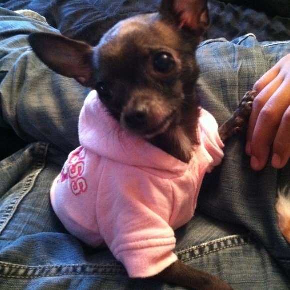 My baby kolita