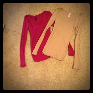 Bundle for lsdaisy!!!