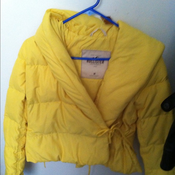Yellow jacket.