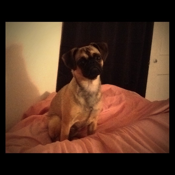 Info - Picture 1 of 1