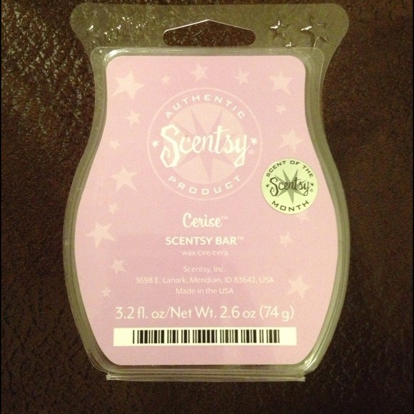 ⛔Sold⛔Scentsy bar cerise