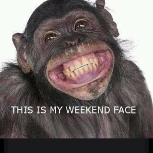 LOL - Picture 1 of 1